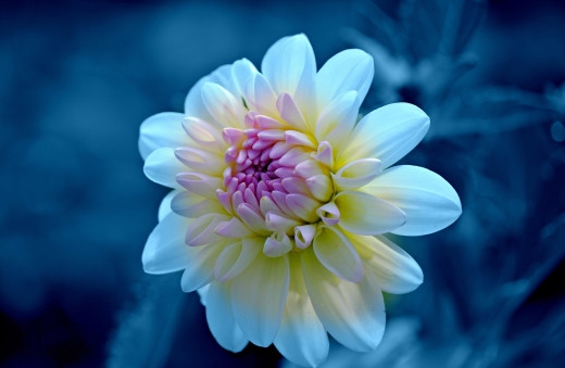 757519 (a): :2880x1874